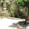 Cretan Holiday Cottage
