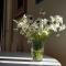 Apartman Todorovic