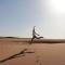 Atta Desert Camp - El Gouera