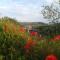 Ferienhaus Safari - Sasbach am Kaiserstuhl