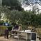 Butterfly House Bed & Breakfast