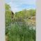 Experience Louisiana, Cabin on Bayou Petite Anse