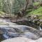 Creekside Cabin 8 Mi to Kings Canyon National Park - Miramonte