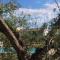 Tenuta Don Ballore Country Resort