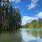 Forest and Lake - Borovoje