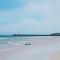Green Gallery Beach Boutique Hotel