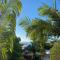 Haven on Noosa Hill - sunset views, pools, spa