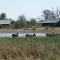 Nogatsaa Pans Chobe Lodge