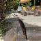 Auberge De Cucugnan photo 20