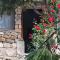 Villa Jerković-Secluded house and apartment with pool - Drašnice
