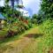 Roots Jungle Retreat