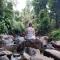 Roots Jungle Retreat