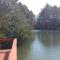 The Lake House at Turtle Cove: Cozy relaxing lake home with dock on wooded lot. - Eutawville