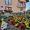 Apartments Karabegovic