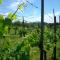 Borgodoro - Natural Luxury Bio Farm - Magliano Sabina