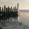 DOCK10TEXEL