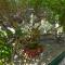 Apartments Marsela