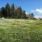 Tuscan hills near Florence - stone house