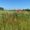 Panoramic Philippine Zeeland
