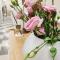 Joys Rooms Ortigia