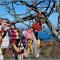 Il Caminetto Montefiascone