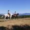 Farmhouse with stables horses and the ability to make horseback riding