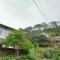 The Green Pine Cottage