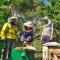 ARMBEE Honey Farm
