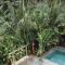 Surfing Temple Hotel Boutique
