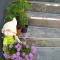 M4 Appartements - Wagrain