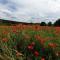 Chalet le logis des autre photo 8