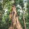 Wasai Tambopata Lodge
