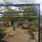 Apartman Ane - Bribir