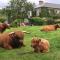 Glendine Country House Wexford - 韦克斯福德
