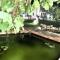 Giardino DOriente