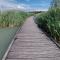 Provence, Studio vue lac, Parc Spirou, Wave Island, Avignon - 蒙特