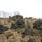 Dimmuborgir Guesthouse - Myvatn
