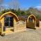 Conifer Cabins