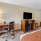 Comfort Suites Burlington - Burlington