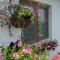 House Albena