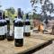Byronsvale Vineyard and Accommodation - Bendigo