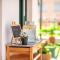 Evala luxury rooms with pool and garden Evala luxury rooms with pool and garden