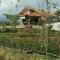 Shantys House