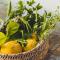 Il Limoneto Rooms
