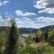 Chalet Brimbelle