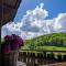 Odenwald Lounge - ehemals Ferienhaus Bergblick - Reichelsheim