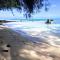 MOOREA - Local Spirit 5