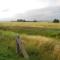 La La Nathi Country Guesthouse - Harrismith