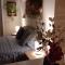 Marsalforn Sea View Beachfront Studio Apartment