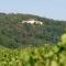 Auberge Les Hauts De Chenas photo 8